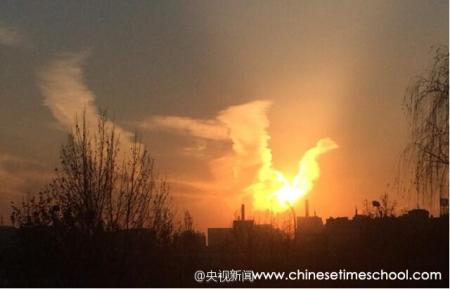 «Ave Fénix» sobre Pekín: El Embajador de la Familia del Dragón saluda los buenos auspicios para este año y la actitud del Papa